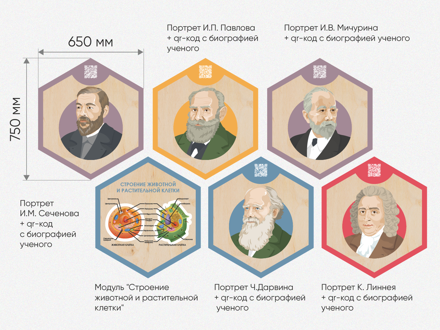 Описание «Стендум - Биология» - набор информационно-методических панелей  (18 шт.) [А368] купить в Иркутске в IRKSHOP.RU