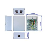 Розетка настенная телефонная Lanmaster TWT-SS2-1212-WH RJ-12 двойная фотографии