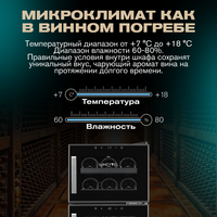 Отдельностоящий винный шкаф Meyvel MV21-BF2 (easy) фотографии
