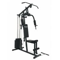 Мультистанция VictoryFit VF-HG3100 фотографии