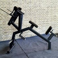 Задняя дельта с упором в грудь Gymmaster SS-26 фотографии