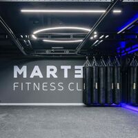 Мешок боксерский PROFI-FIT 50 кг 1100х300 мм резиновая крошка фотографии
