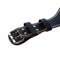 Пояс для тяжелой атлетики PROFI-FIT L фотографии
