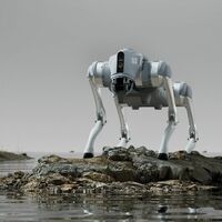 Бионический четырехопорный робот Unitree Go2 Pro фотографии