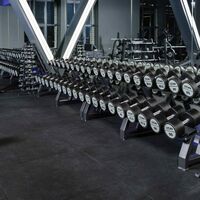 Гантельный ряд полиуретановый PROFI-FIT 2.5-25 кг шаг 2.5 кг, 10 пар фотографии