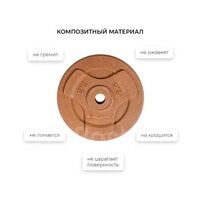 Диск композитный Shigir d 26мм. 1,25 кг коричневый [263.67] фотографии
