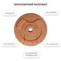 Диск композитный Shigir d 26мм. 2,5 кг. коричневый [441.46] фотографии