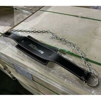 Пояс для дополнительных отягощений с цепью MD Buddy MD5071 фотографии