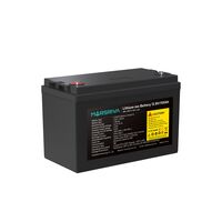 Батарея MARSRIVA LBP12-100-LAR LiFePO4, 12.8В/100Ач, Класс А, 1.28кВт*ч, 6000 циклов фотографии