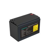 Батарея MARSRIVA LBP12-100-LAR LiFePO4, 12.8В/100Ач, Класс А, 1.28кВт*ч, 6000 циклов фотографии