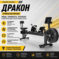 Гребной тренажер Gymmaster RW1802 Дракон фотографии