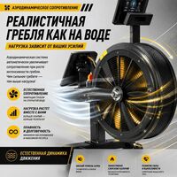 Гребной тренажер Gymmaster RW1802 Дракон фотографии