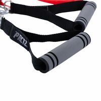Набор трубчатых эспандеров PRCTZ RESISTANCE TUBE KIT фотографии