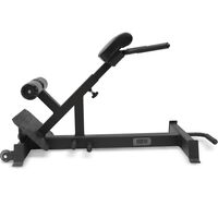 Гиперэкстензия BRONZE GYM PARTNER AL-317 [BG-AL-317] фотографии