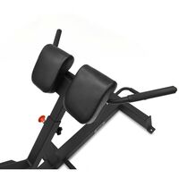 Гиперэкстензия BRONZE GYM PARTNER AL-317 [BG-AL-317] фотографии