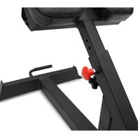 Гиперэкстензия BRONZE GYM PARTNER AL-317 [BG-AL-317] фотографии