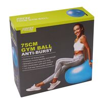Мяч гимнастический PRCTZ GYM BALL ANTI-BURST 75 см. фотографии