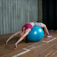 Мяч гимнастический PRCTZ GYM BALL ANTI-BURST 75 см. фотографии
