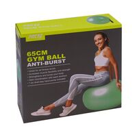 Мяч гимнастический PRCTZ GYM BALL ANTI-BURST 65 см. фотографии