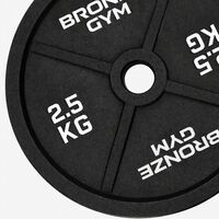 Диск олимпийский BRONZE GYM BGPLCI025 чугунный, 2,5 кг фотографии