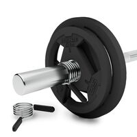 Диск олимпийский BRONZE GYM BGPLR200 обрезиненный, 20 кг фотографии