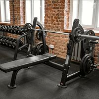 Скамья для жима BRONZE GYM BR-1012 горизонтальная фотографии