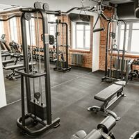 Кроссовер BRONZE GYM NEO 16 фотографии