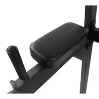 Стойка турник/пресс/брусья BRONZE GYM PARTNER AL-310 фотографии