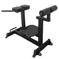 Гиперэкстензия BRONZE GYM PARTNER AL-920 горизонтальная фотографии