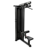 Тренажер для вертикальной тяги BRONZE GYM PARTNER ML-306 профессиональный фотографии