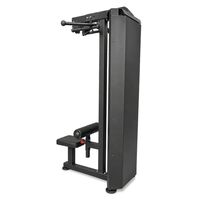 Тренажер для вертикальной тяги BRONZE GYM PARTNER ML-306 профессиональный фотографии