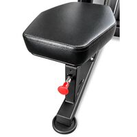 Тренажер для баттерфляя и задних дельт BRONZE GYM PARTNER ML-310 профессиональный фотографии