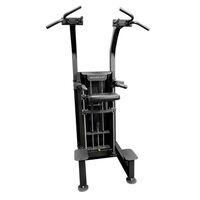 Гравитрон BRONZE GYM PARTNER ML-323 профессиональный, стек 100 кг фотографии
