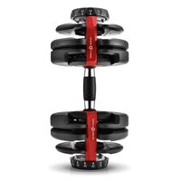 Гантель регулируемая Oxygen Fitness FLEXER 24 24 кг фотографии