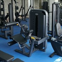Тренажер для сгибания и разгибания ног BRONZE GYM MIGHT 54 сидя, профессиональный фотографии