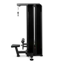 Тренажер для вертикальной тяги BRONZE GYM PARTNER ML-806 профессиональный фотографии