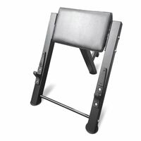 Скамья Скотта BRONZE GYM PARTNER ML-905 фотографии