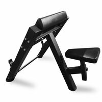 Скамья Скотта BRONZE GYM PARTNER ML-905 фотографии