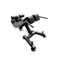 Гиперэкстензия BRONZE GYM PARTNER ML-917 фотографии