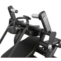 Скамья для пресса BRONZE GYM PL-1720 фотографии