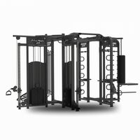 Функциональная рама BRONZE GYM 360B фотографии