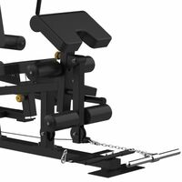 Мультистанция BRONZE GYM EVOLVE TripleX фотографии