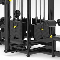 Мультистанция BRONZE GYM MIGHT 62 5-ти позиционная фотографии