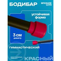 Палка гимнастическая BRONZE GYM БОДИБАР 4 кг [BG-FA-BDB4] фотографии