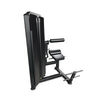 Тренажер для разгибания спины BRONZE GYM PARTNER ML-813 профессиональный фотографии