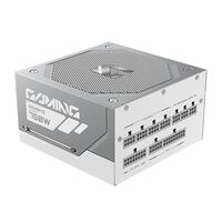 Блок питания ПК GigaByte GME750GM PG5 ICE 750W белый, 80Plus Platinum, полностью модульный, PCIe Gen 5.1, ATX 3.1 compatible [GP-GME750GM PG5 ICE] фотографии