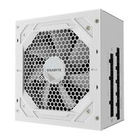 Блок питания ПК GigaByte UD750GM PG5 ICE 750W, 80Plus, Gold, полностью модульный, White colour [GP-UD750GM PG5 ICE] фотографии