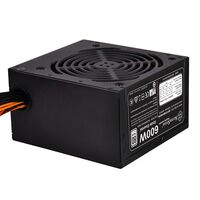 Блок питания SilverStone SST-ST60F-ES230 V1.0 PSU-P217-600W-230V ONLY-ATX-120mmFAN-FIXED C-80PLUS-RoHS-GM [G540ST600E23220] фотографии