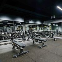Гантельный ряд профессиональный PROFI-FIT 27,5-37,5 кг (шаг 2,5 кг, 5 пар) фотографии