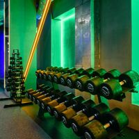 Гантельный ряд профессиональный PROFI-FIT 27,5-37,5 кг (шаг 2,5 кг, 5 пар) фотографии